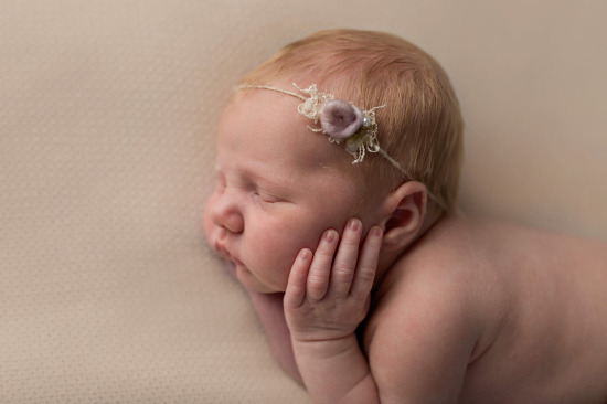 Port Washington Newborn Photographer