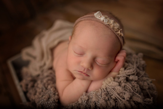 Milwaukee Area Newborn Photographer
