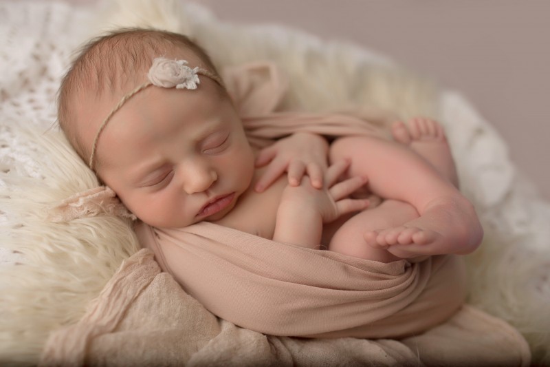 Milwaukee Newborn Photographer