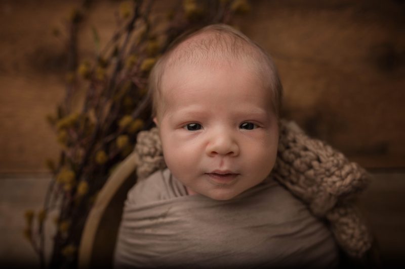 Milwaukee Newborn Photographer