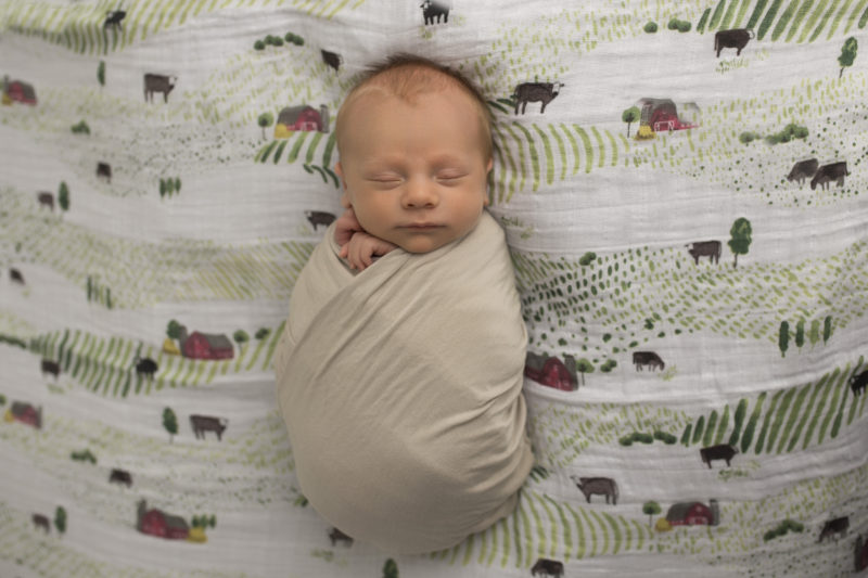 Milwaukee's Best Newborn Photographer