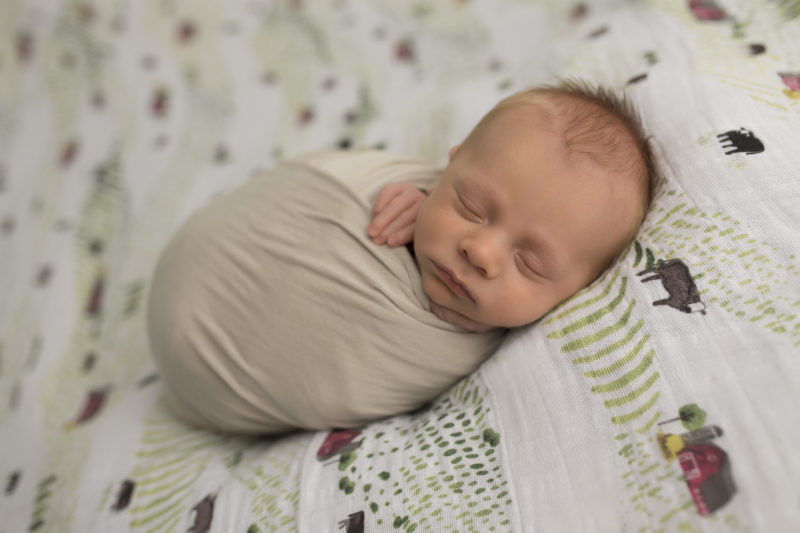 Milwaukee Newborn Photographer