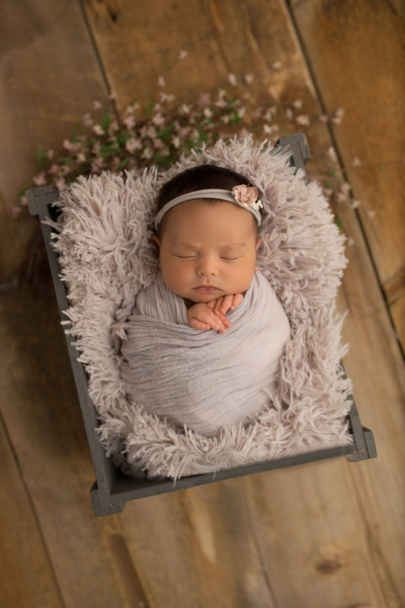 Milwaukee Newborn Photographer
