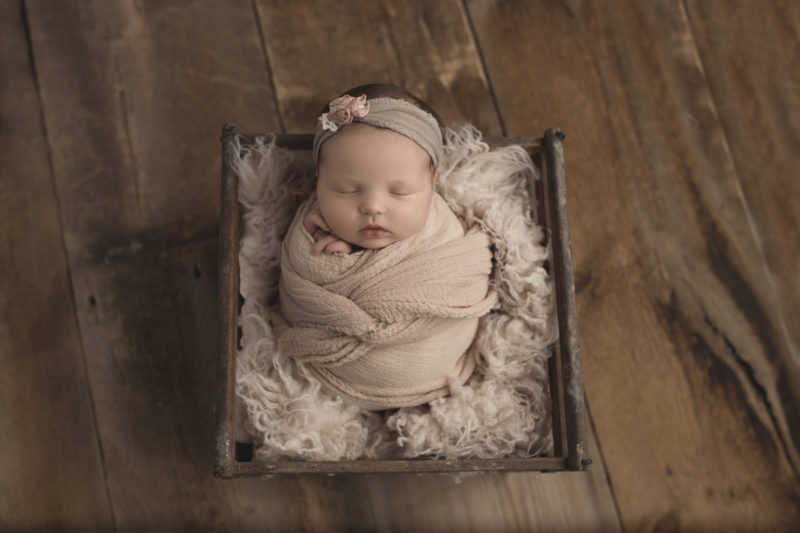 Milwaukee Newborn Photographer