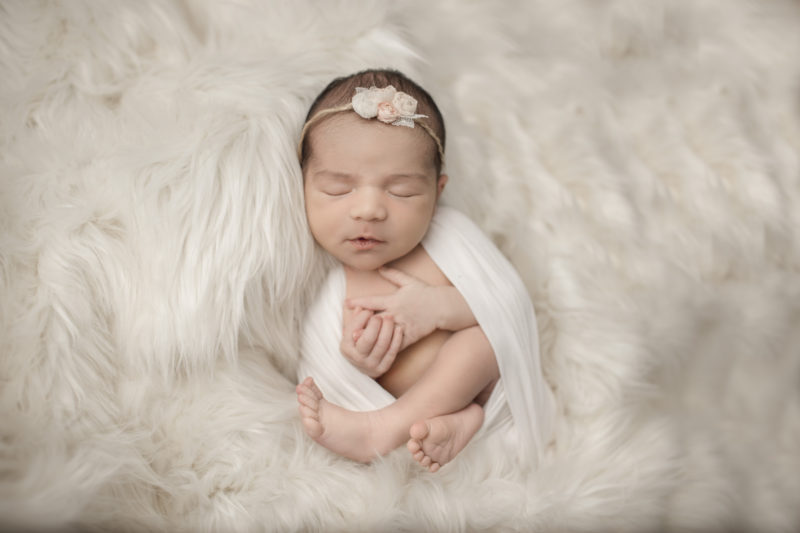 Milwaukee Newborn Photographer