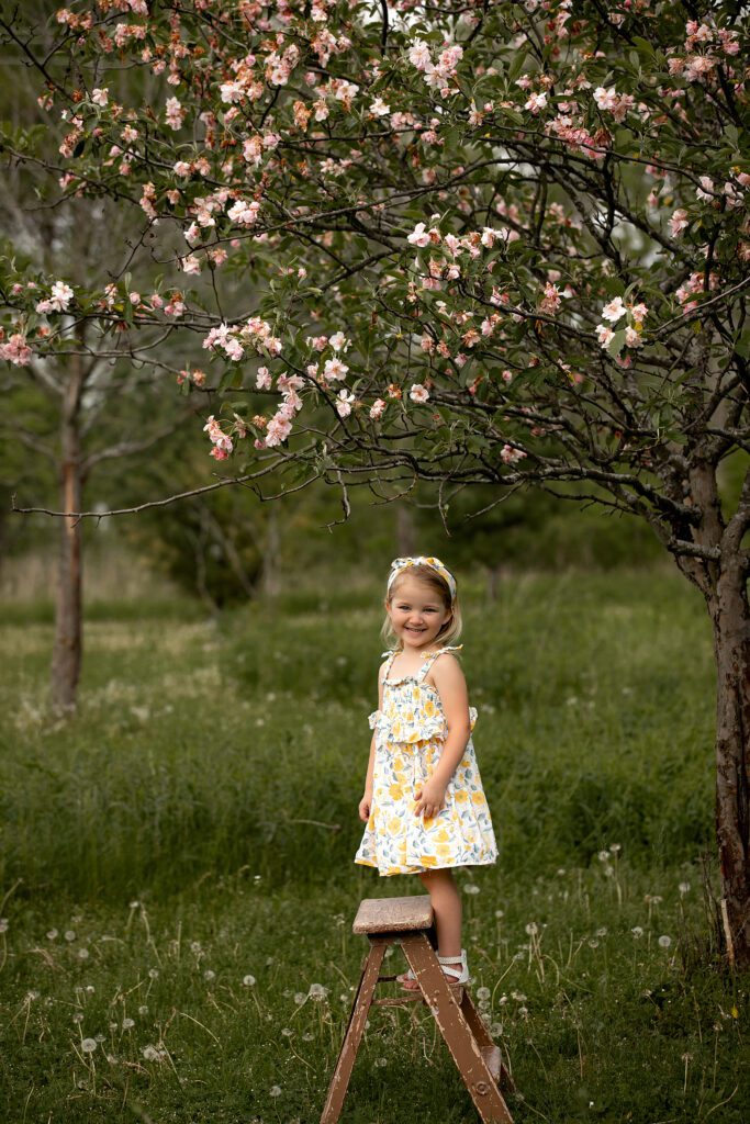 Milwaukee Family Photographer, family photography Milwaukee, family portraits near me