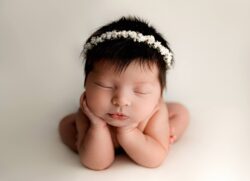 Milwaukee Newborn Photographer Book A Portrait Session